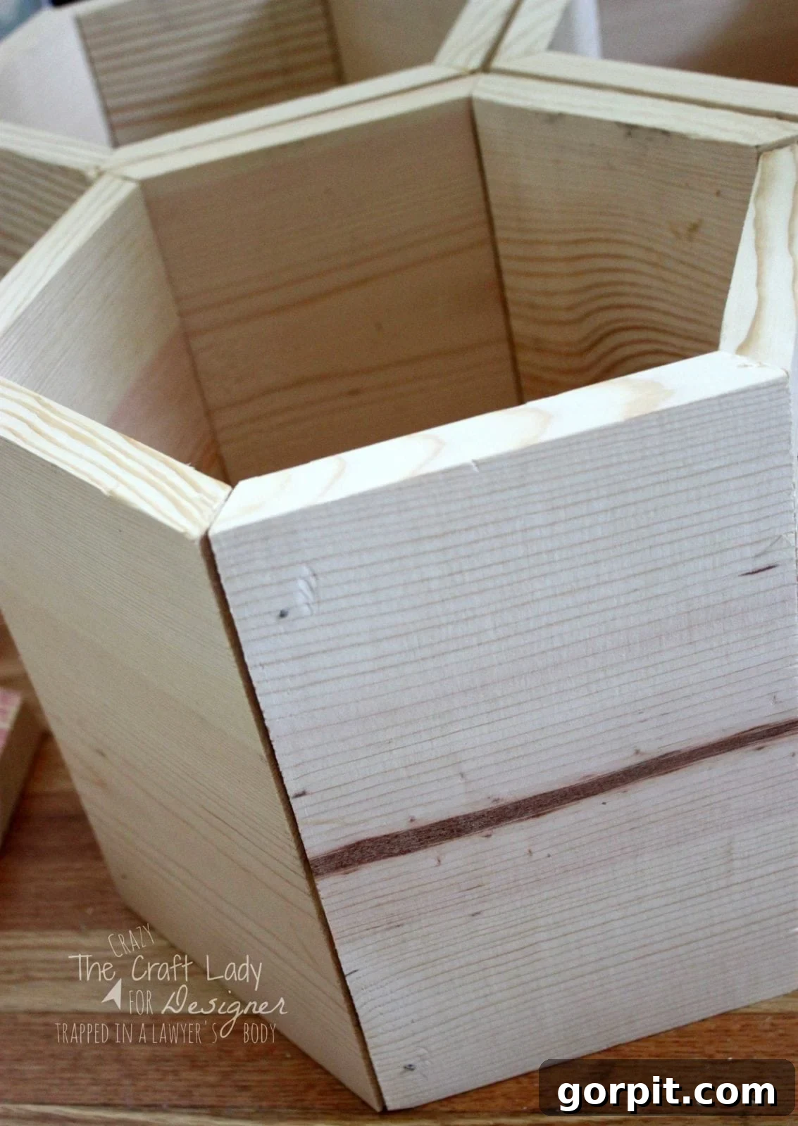 Honeycomb Shoe Rack DIY 12 A tilted close-up of wooden hexagonal shoe cubbies. The text in the lower corner reads,